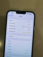 256 GB iPhone 13 Pro Max Unlocked