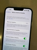 256 GB iPhone 13 Pro Max Unlocked