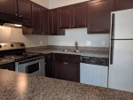 Modern kitchen of one-bedroom apartment in Tivoli Apartments, Virginia Beach, featuring dark cabinets and granite countertops.