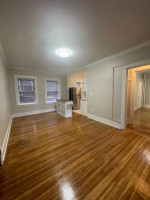 #94 Newly renovated 1-bedroom historic downtown apartment!