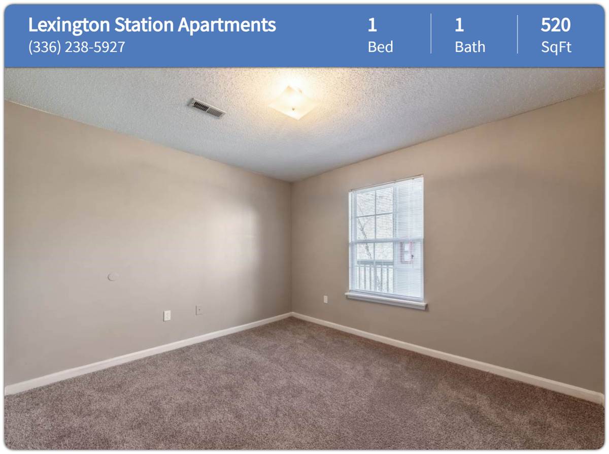 This 520 sq ft 1 bed, 1 bath is impressive!