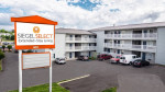 Fully Furnished, No Long-Term Lease Required, Studio