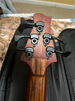 Prometeus 5 string custom bass