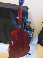 Parlor guitar