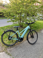 Riese & Muller Roadster Mixte Vario E-Bike w/Nyon Size 45cm