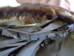 Vintage Full Length Mink Coat
