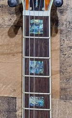 Michael Kelly MKHYSSPB Hybrid Special 2010s - Spalted Burst