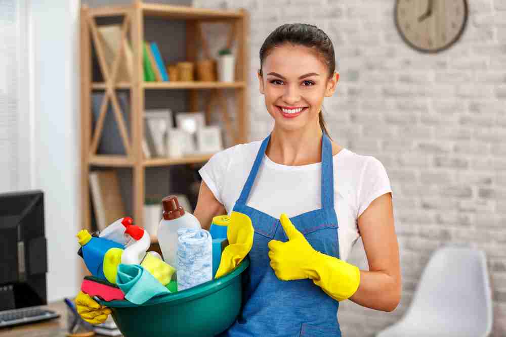Professional Cleaners