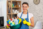 Professional Cleaners