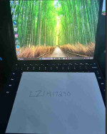 Microsoft Surface Pro 11