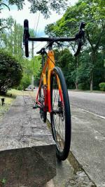 Trek  Émonda ALR 4 2018