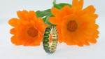 14K Solid Yellow Gold Full Eternity Ring - Emerald Cut