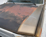 Close-up of the hood of a 1985 Ford F150 showing weathered paint and vintage features.