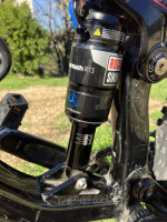 2018 Transition Scout