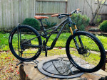 Custom build S1/XS 2022 Specialized SJ Carbon 29er