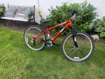 RUST-RALEIGH MOJAVE - Mens Reconditioned High Quality MOUNTAIN BIKE