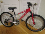 TREK220; 7 year old to 12 year old; 24 inch wheels