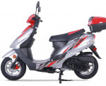 New 2024 Gas Powered 50cc Mopeds for sale