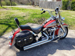 1995 HARLEY-DAVIDSON SOFTAIL  -  Very Nice !!