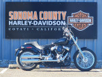 2020 Harley-Davidson Softail® Standard Cruiser