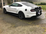 2019 Ford Mustang GT with white exterior and custom upgrades, showcasing unique style and performance features.