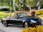 2005 Lexus SC 430 convertible parked in a scenic garden setting with vibrant flowers.