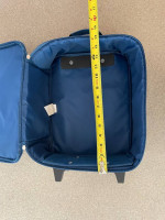 Disney Frozen blue rolling luggage