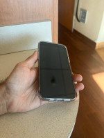 MINT 1TB Iphone 13 Pro Max