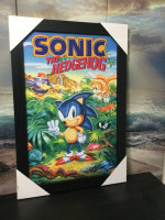 Sega Sonic the Hedgehog Wall Picture Genesis Dreamcast Saturn Game Gea