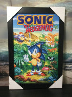 Sega Sonic the Hedgehog Wall Picture Genesis Dreamcast Saturn Game Gea